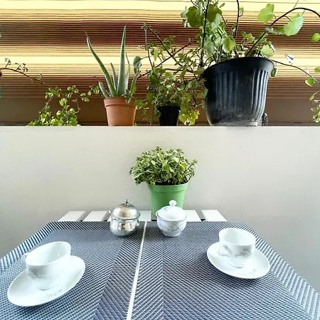 Harmony Vatican Terrace *